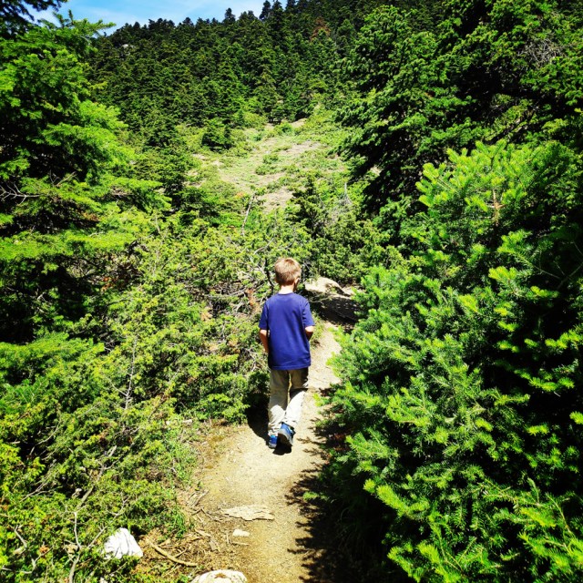 Parnitha_Wildfire_Observation_Station_Skipiza_092829_367