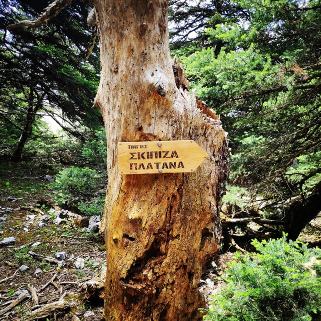 Parnitha_Wildfire_Observation_Station_Skipiza_092915_282