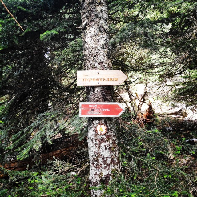 Parnitha_Wildfire_Observation_Station_Skipiza_092942_237