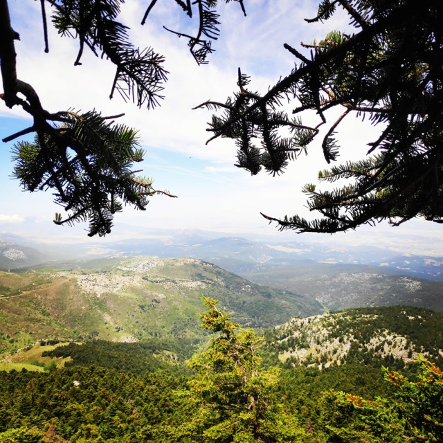Parnitha_Wildfire_Observation_Station_Skipiza_093332_150