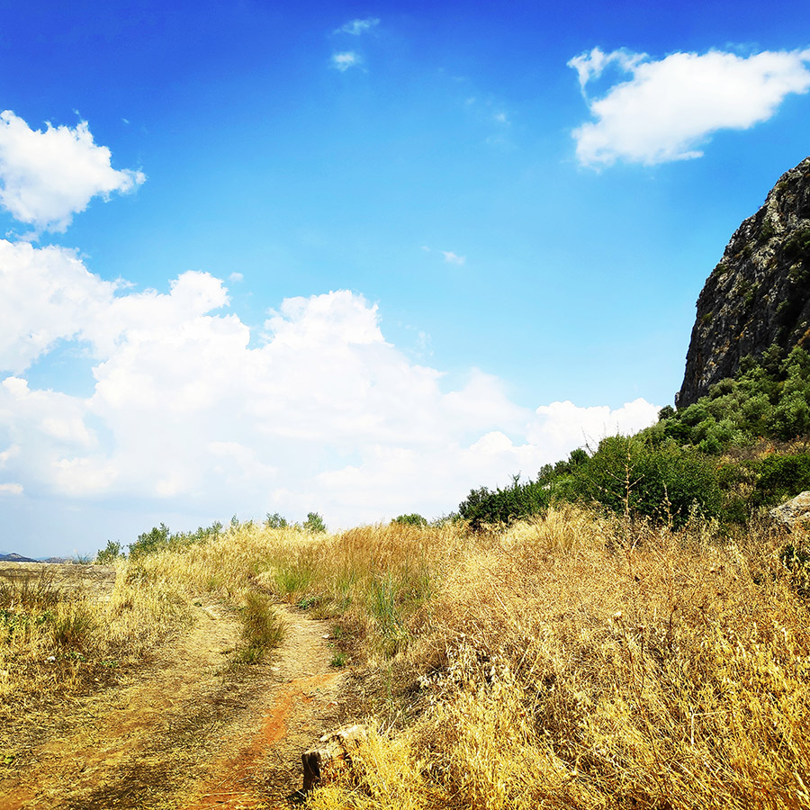 Climbing_Diaberis_Pothos_Profitis_Elias_Asini_163047_925