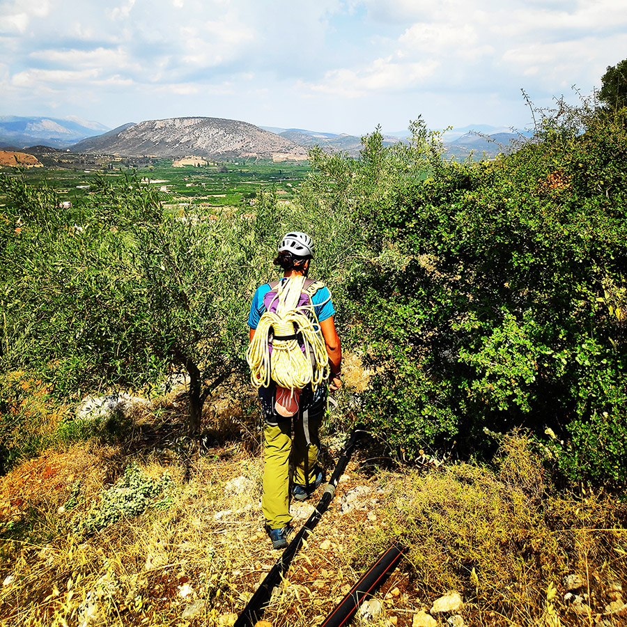 Climbing_Diaberis_Pothos_Profitis_Elias_Asini_163116_964