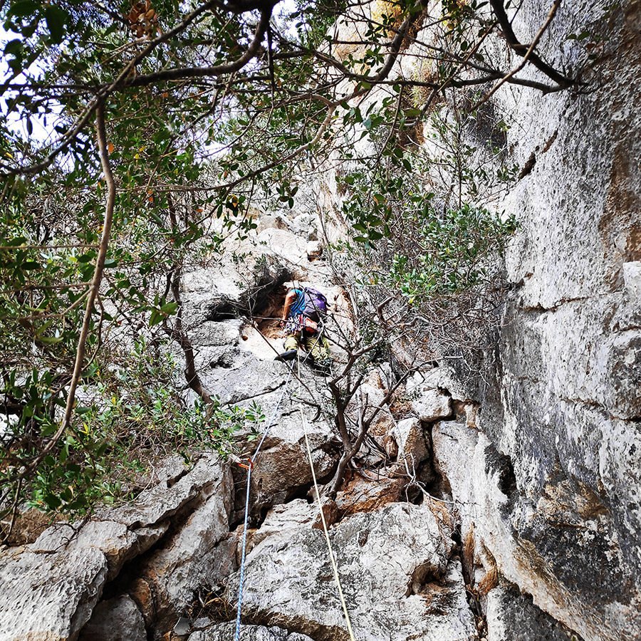 Climbing_Diaberis_Pothos_Profitis_Elias_Asini_163217_024