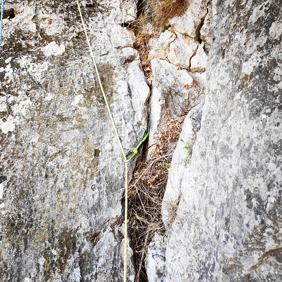 Climbing_Diaberis_Pothos_Profitis_Elias_Asini_163241_877