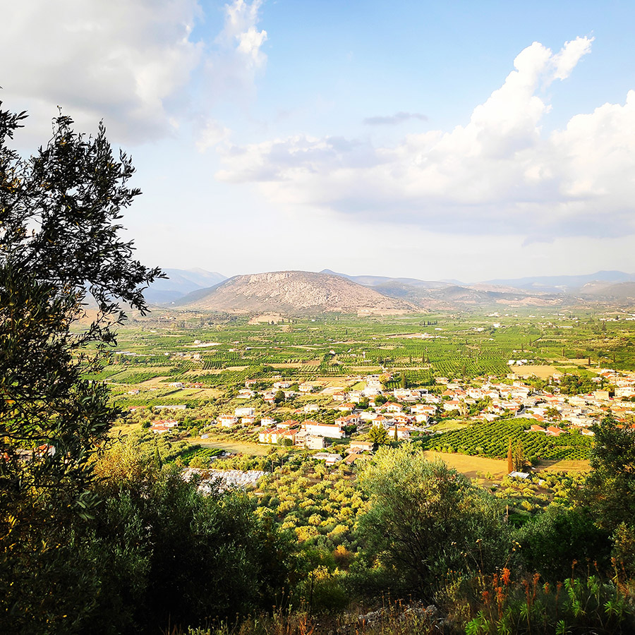 Climbing_Diaberis_Pothos_Profitis_Elias_Asini_163301_931