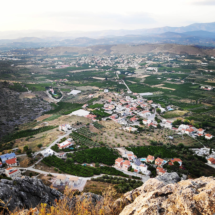 Climbing_Diaberis_Pothos_Profitis_Elias_Asini_163348_709