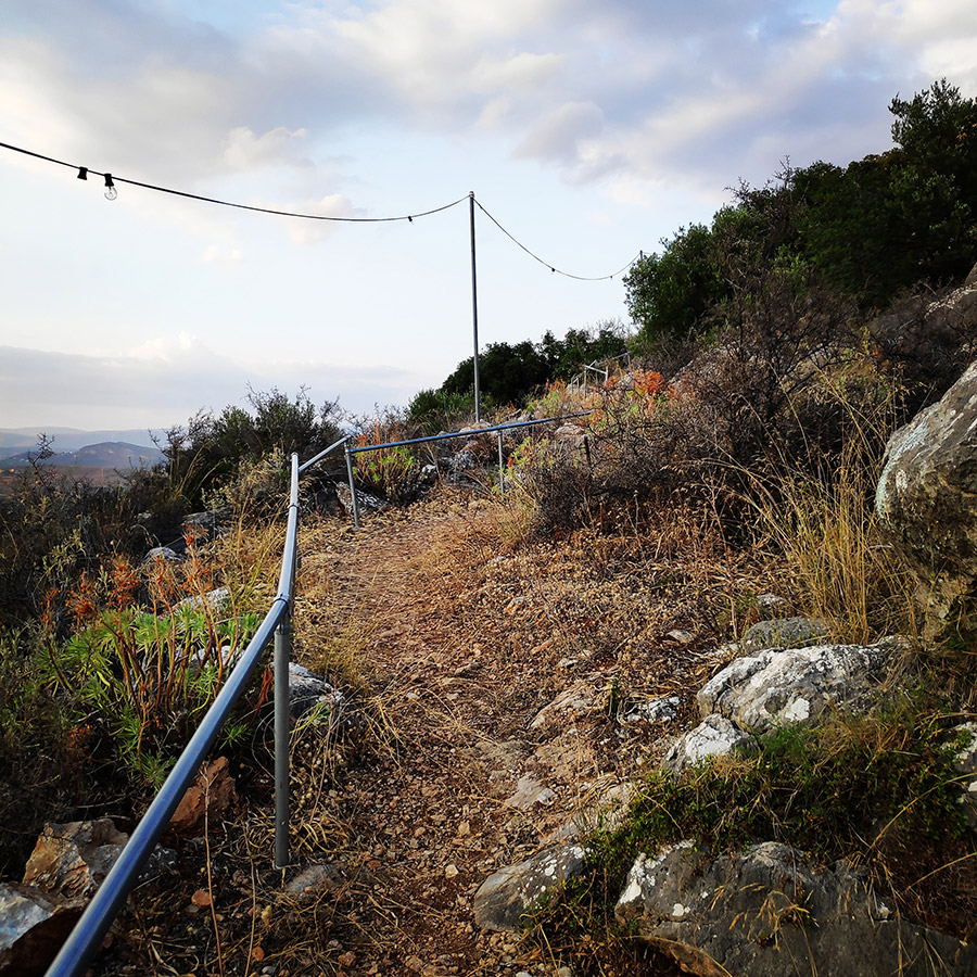 Climbing_Diaberis_Pothos_Profitis_Elias_Asini_163400_194