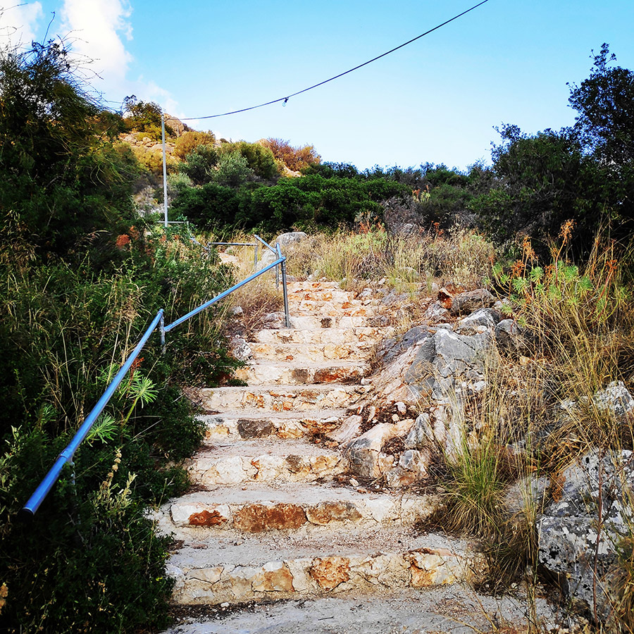 Climbing_Diaberis_Pothos_Profitis_Elias_Asini_163424_013