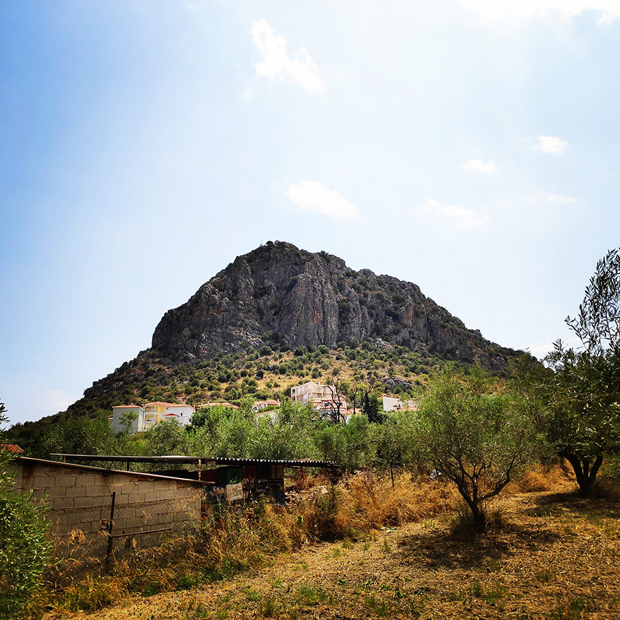 Climbing_Diaberis_Pothos_Profitis_Elias_Asini_224949_919