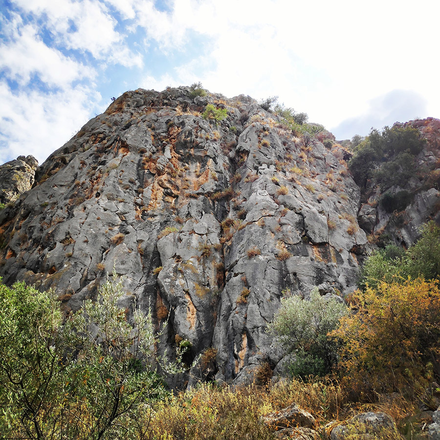 Climbing_Diaberis_Pothos_Profitis_Elias_Asini_225021_708