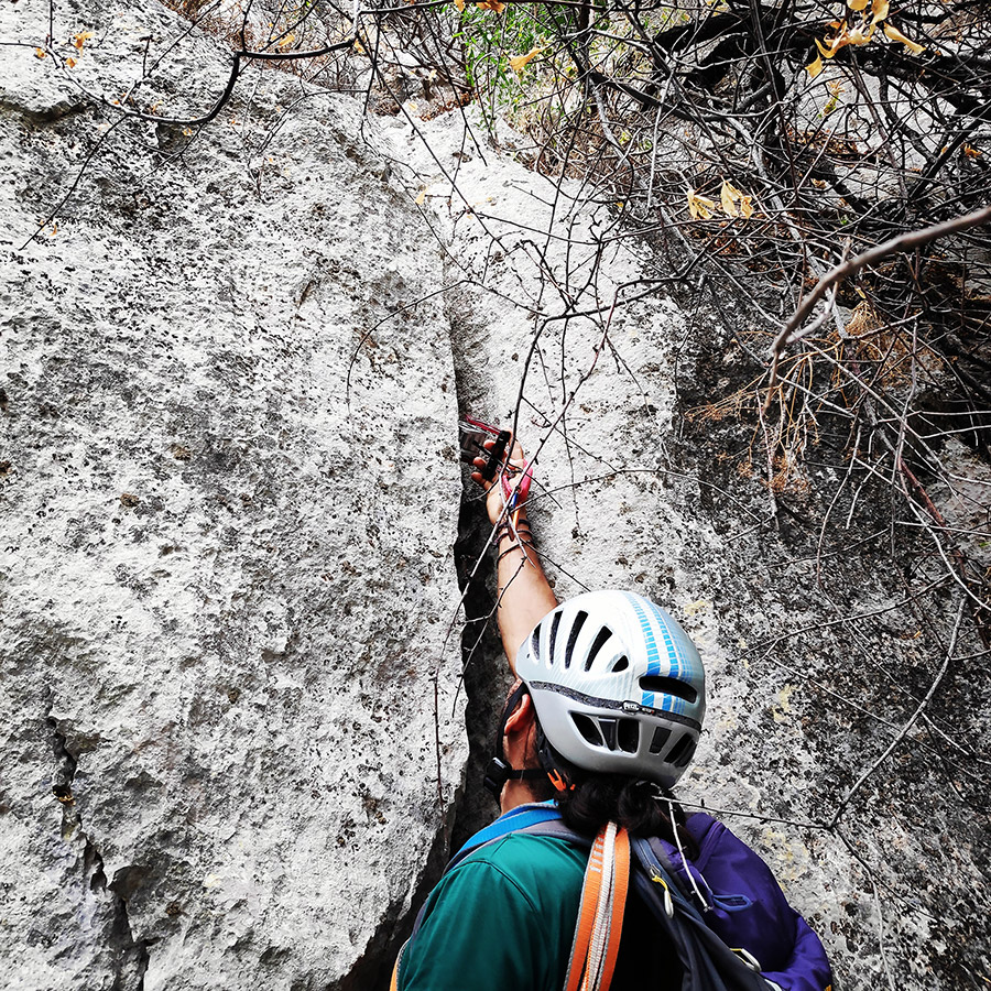 Climbing_Diaberis_Pothos_Profitis_Elias_Asini_225332_781