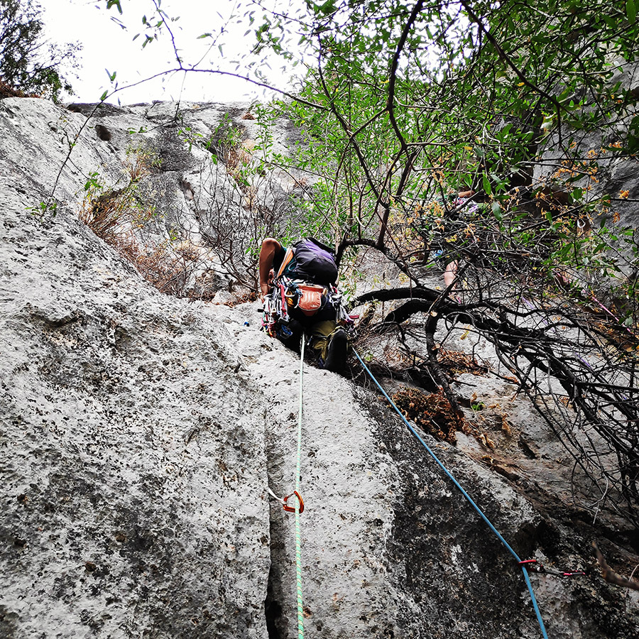 Climbing_Diaberis_Pothos_Profitis_Elias_Asini_225435_237