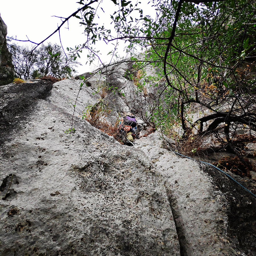 Climbing_Diaberis_Pothos_Profitis_Elias_Asini_225457_252