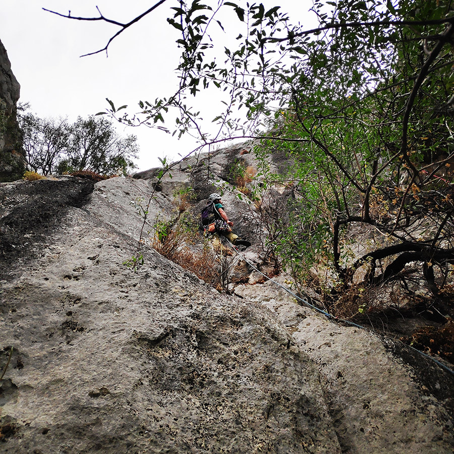 Climbing_Diaberis_Pothos_Profitis_Elias_Asini_225524_918