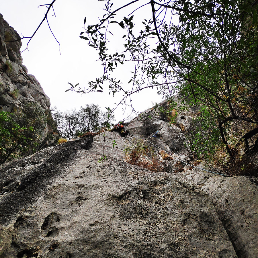 Climbing_Diaberis_Pothos_Profitis_Elias_Asini_225642_723