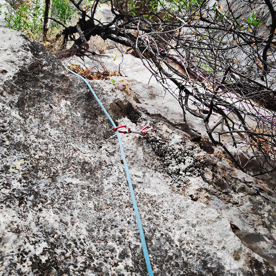 Climbing_Diaberis_Pothos_Profitis_Elias_Asini_225729_680