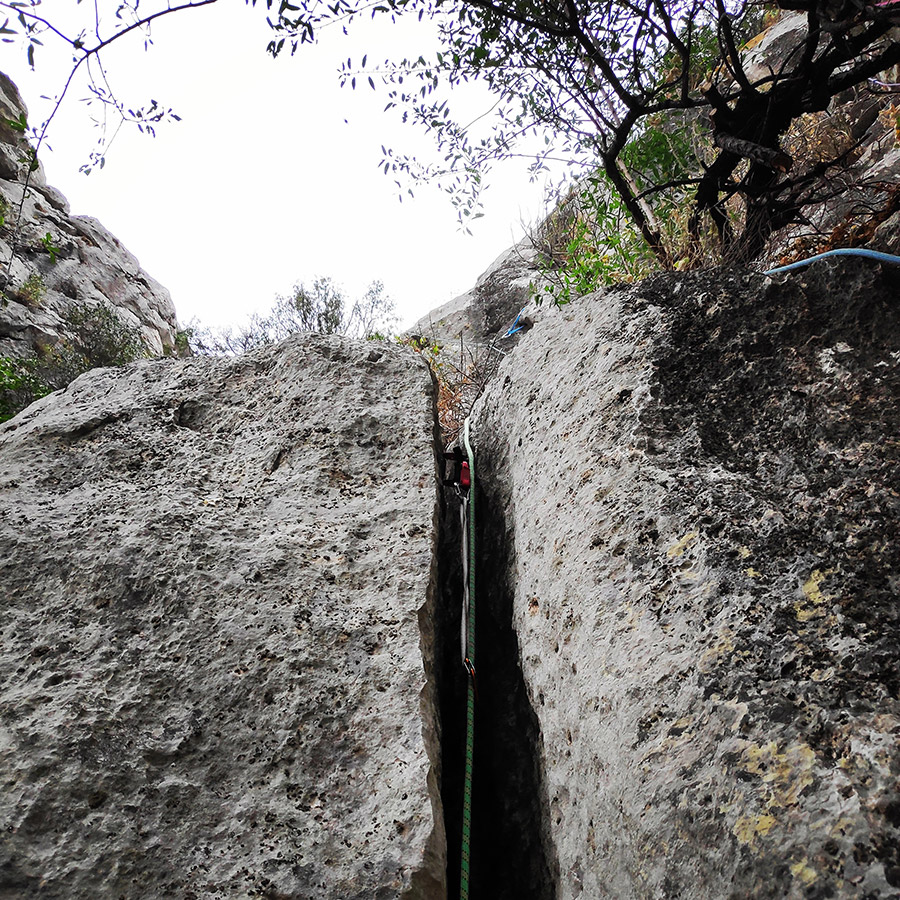 Climbing_Diaberis_Pothos_Profitis_Elias_Asini_225750_874