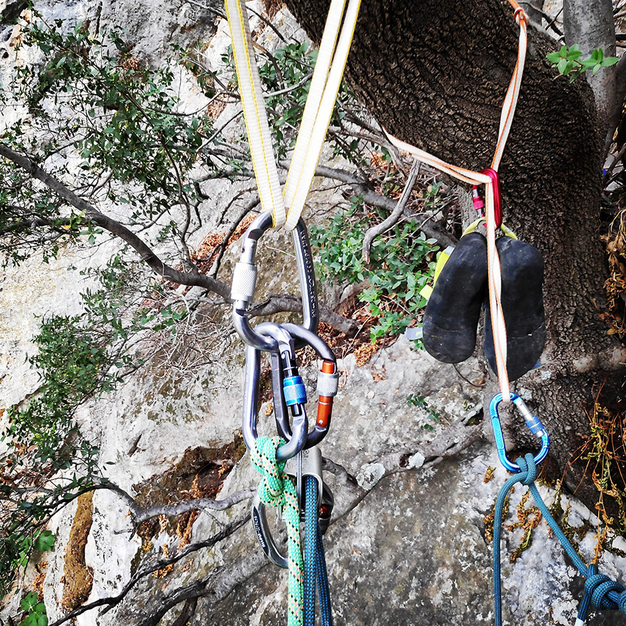 Climbing_Diaberis_Pothos_Profitis_Elias_Asini_225841_910