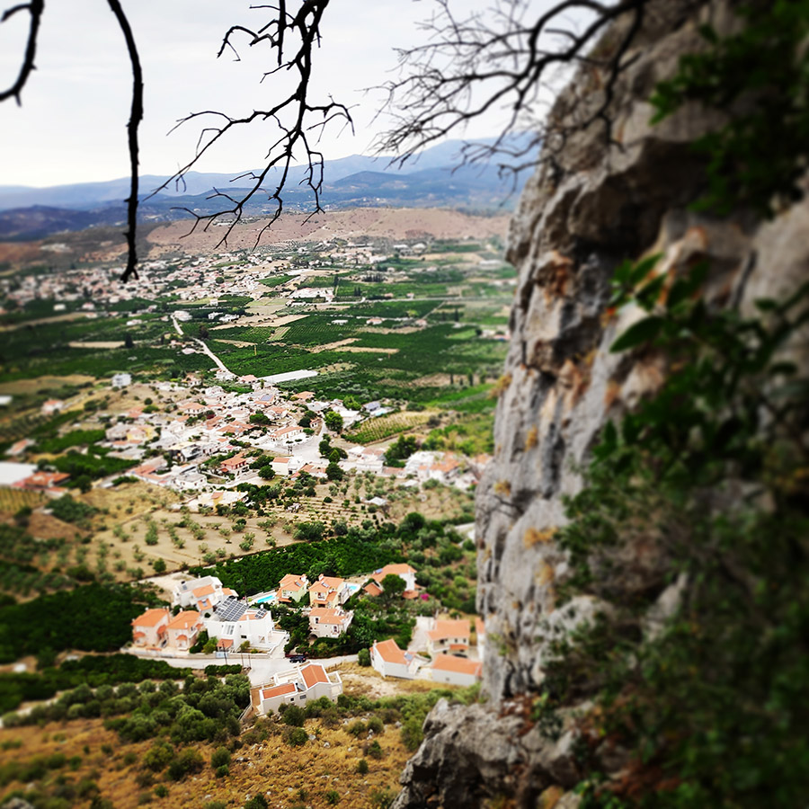 Climbing_Diaberis_Pothos_Profitis_Elias_Asini_225948_177