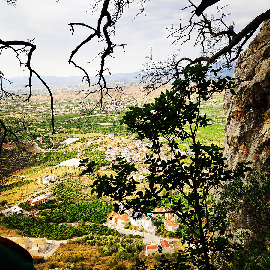 Climbing_Diaberis_Pothos_Profitis_Elias_Asini_230012_178