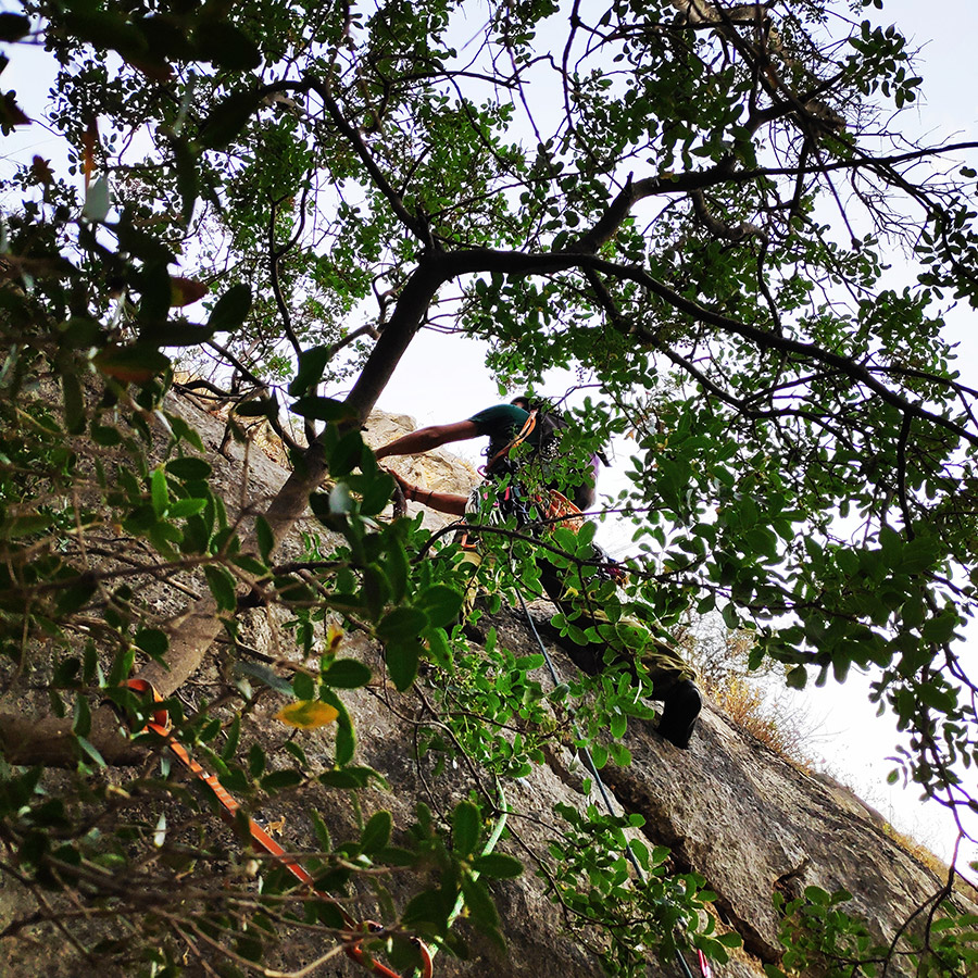 Climbing_Diaberis_Pothos_Profitis_Elias_Asini_230056_813