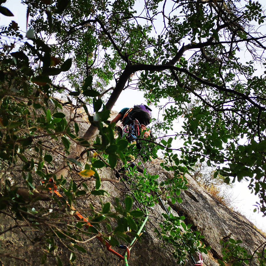 Climbing_Diaberis_Pothos_Profitis_Elias_Asini_230129_607