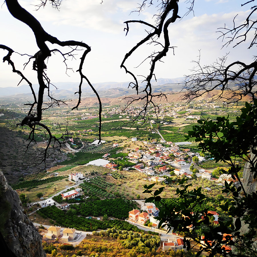 Climbing_Diaberis_Pothos_Profitis_Elias_Asini_230145_216