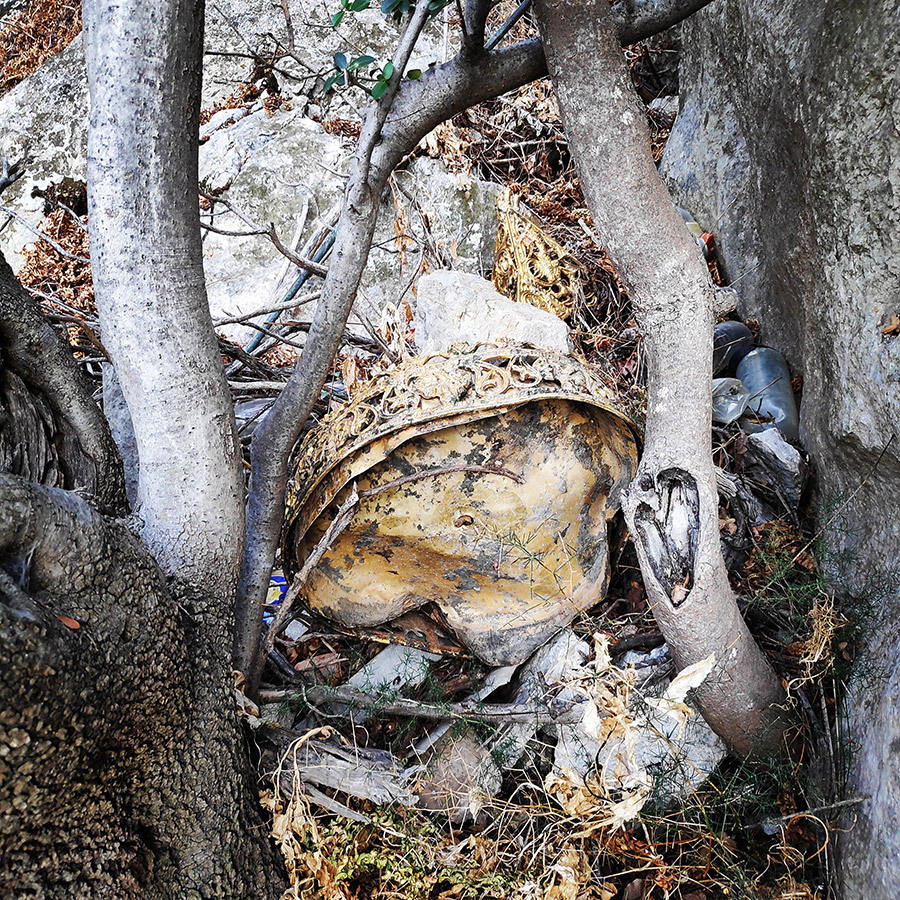 Climbing_Diaberis_Pothos_Profitis_Elias_Asini_230159_273