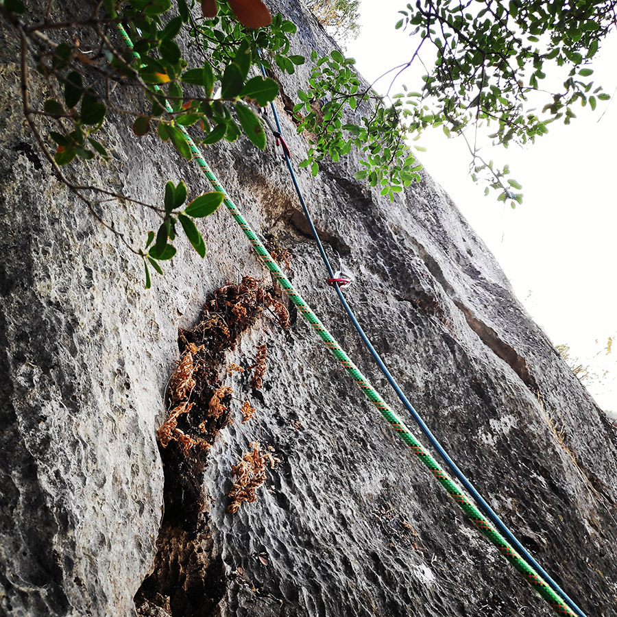 Climbing_Diaberis_Pothos_Profitis_Elias_Asini_230220_125