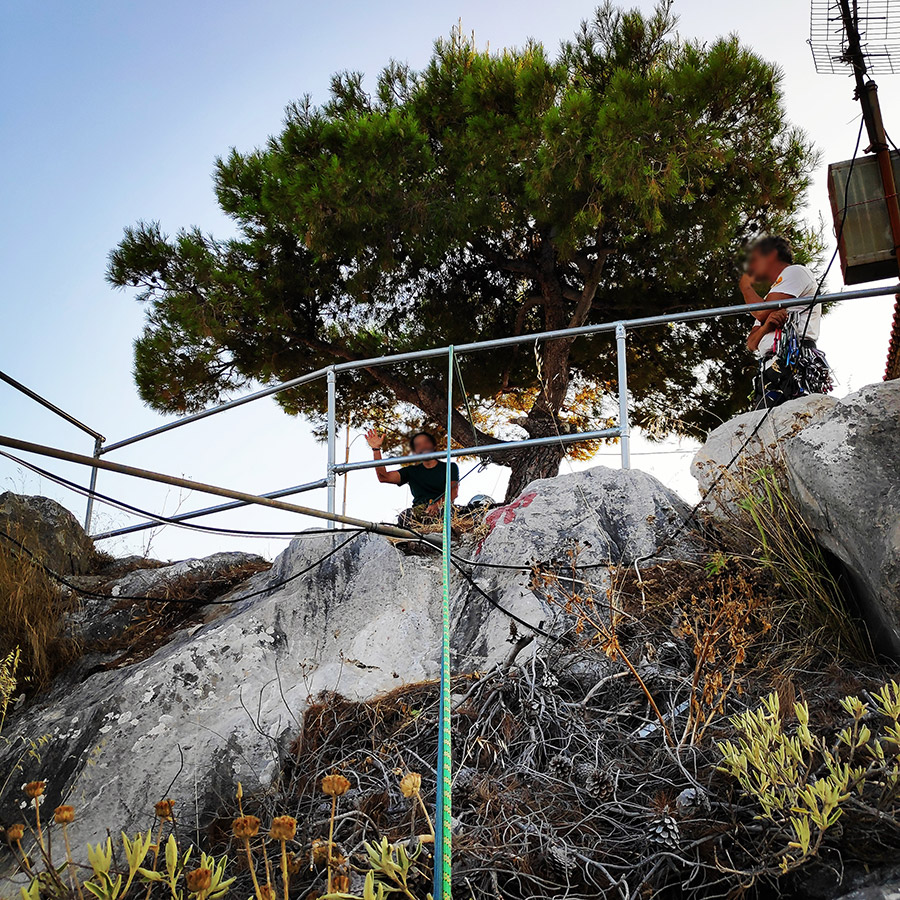 Climbing_Diaberis_Pothos_Profitis_Elias_Asini_230245_661