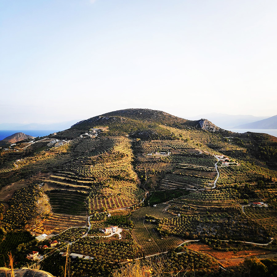 Climbing_Diaberis_Pothos_Profitis_Elias_Asini_230422_345