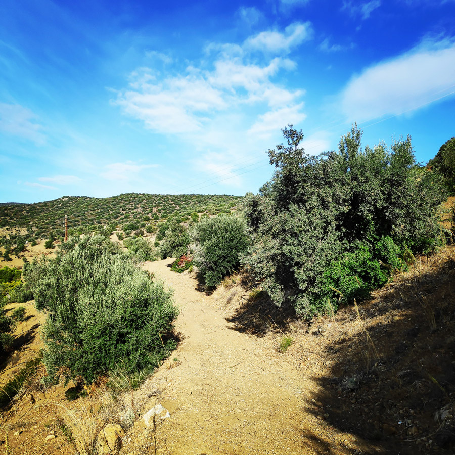 Climbing_Dardiza_Ermioni_Ermionida_113648_287