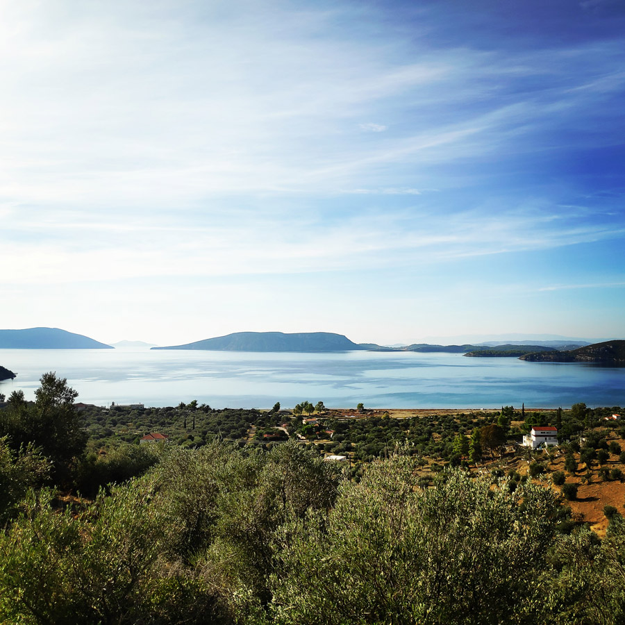 Climbing_Dardiza_Ermioni_Ermionida_113900_819