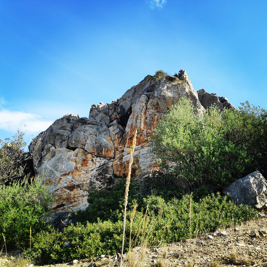 Climbing_Dardiza_Ermioni_Ermionida_115010_545