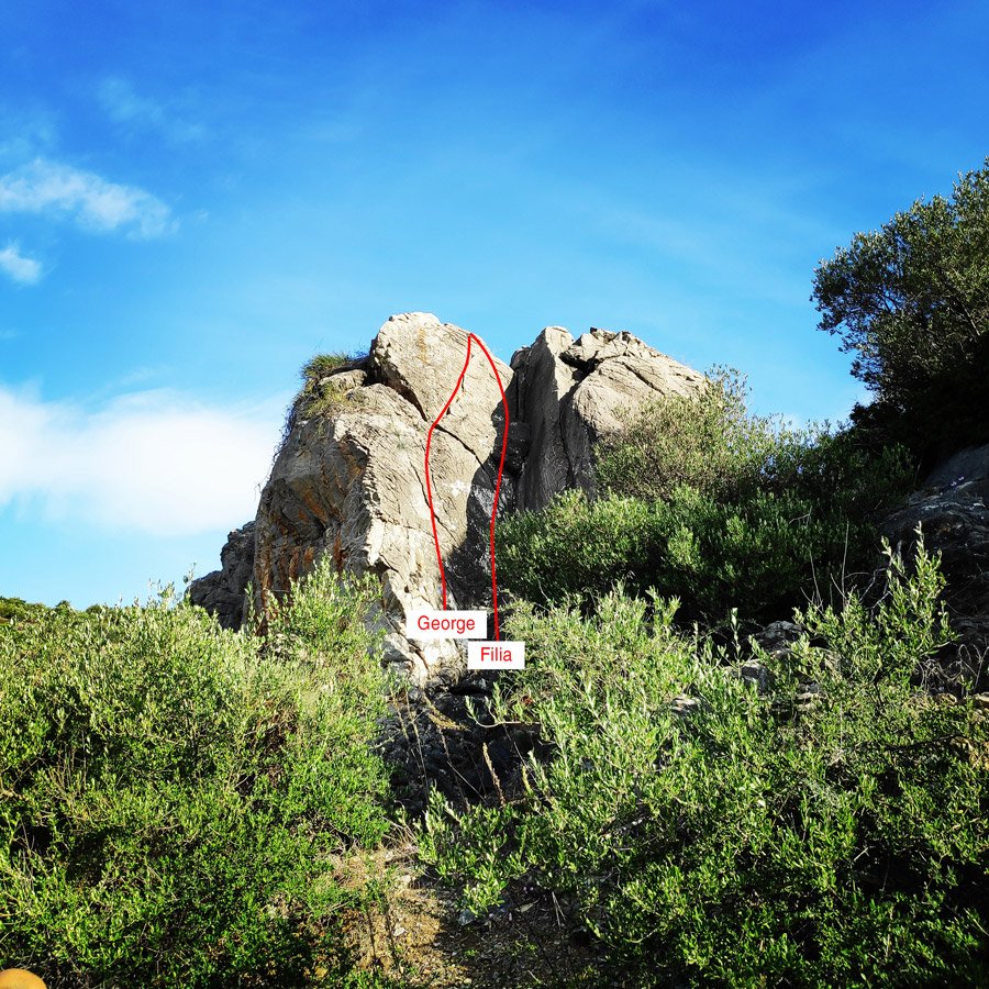 IMG_20201104_113837_505_Names