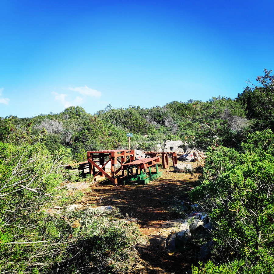 Hiking_Kilada_Ermionida_Patimas_Park_163740_084