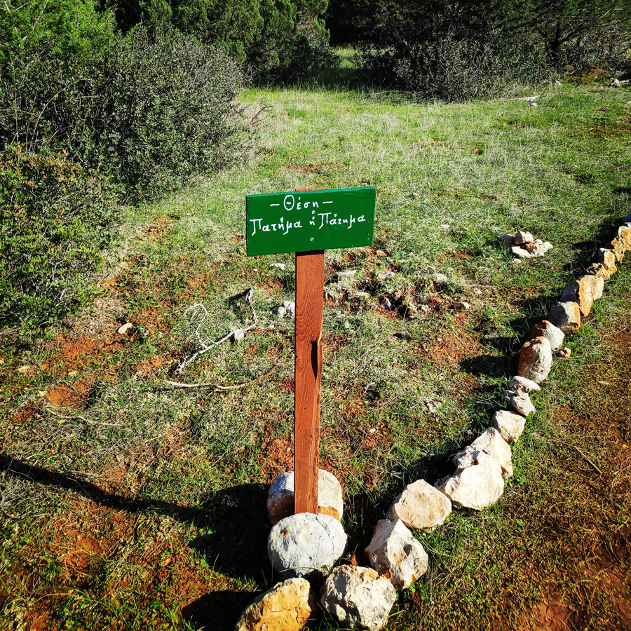 Hiking_Kilada_Ermionida_Patimas_Park_164344_339