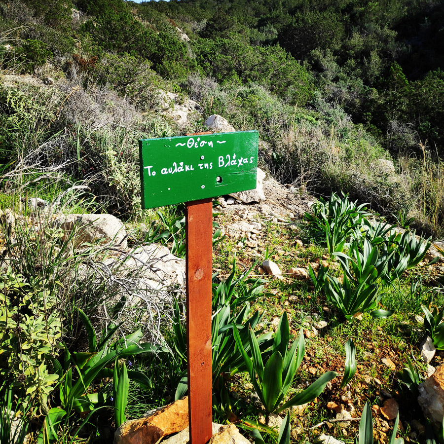 Hiking_Kilada_Ermionida_Patimas_Park_164720_245