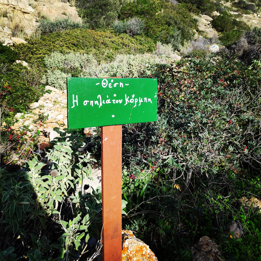 Hiking_Kilada_Ermionida_Patimas_Park_164920_807