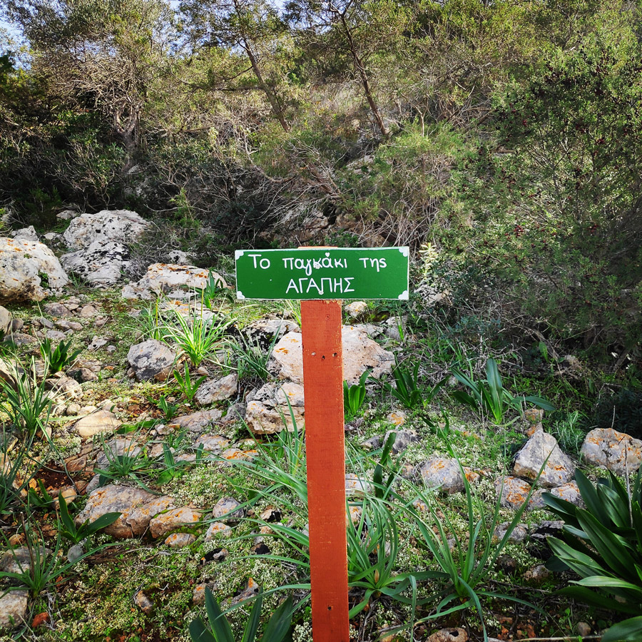 Hiking_Kilada_Ermionida_Patimas_Park_165123_541