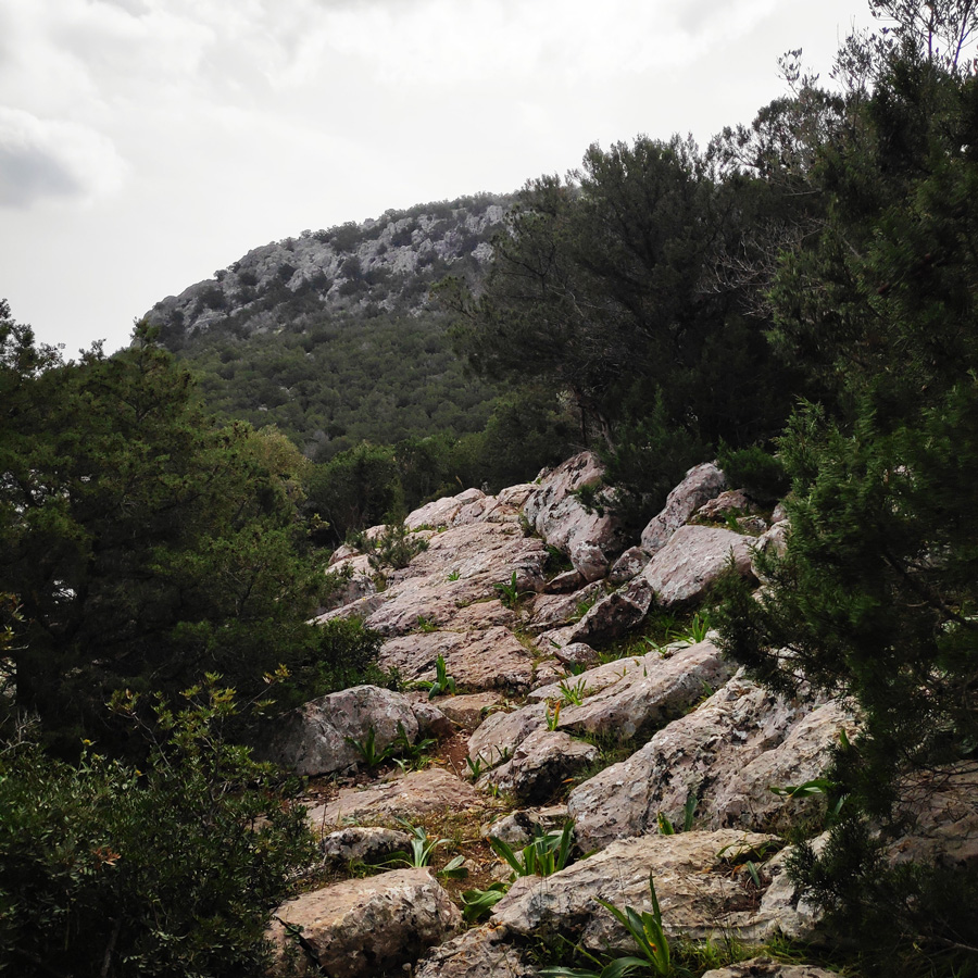 Climbing_Thermisia_Lagoon_Lizard_Route_163044_909