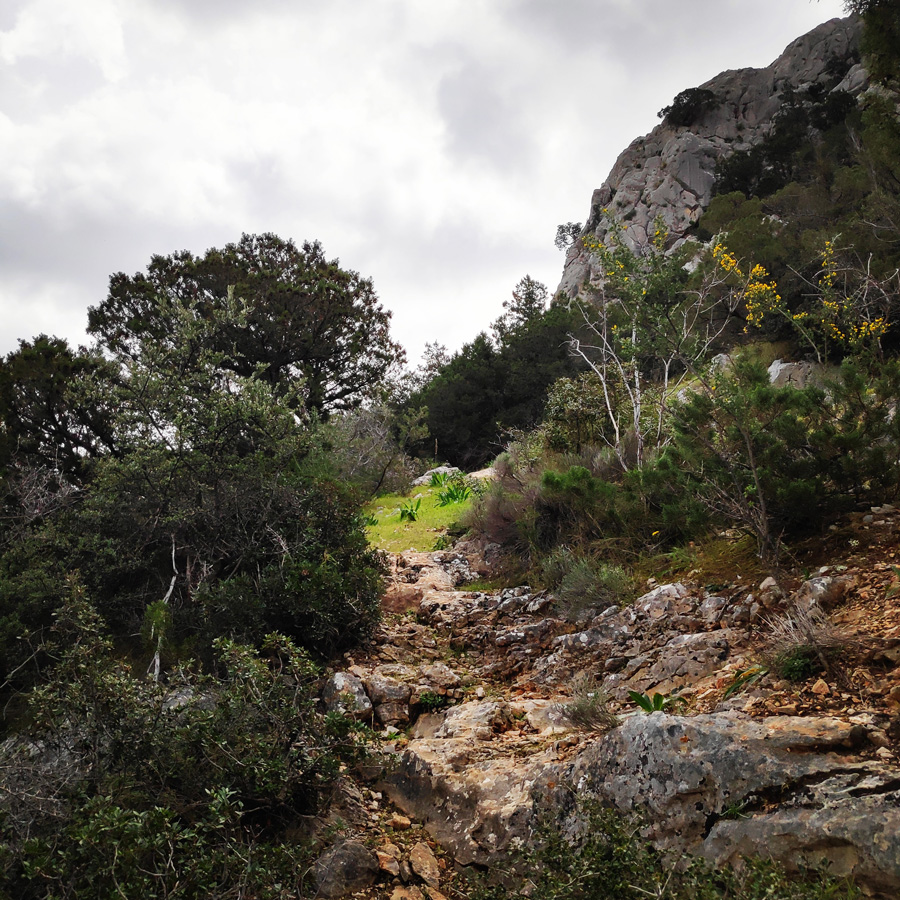 Climbing_Thermisia_Lagoon_Lizard_Route_163146_778