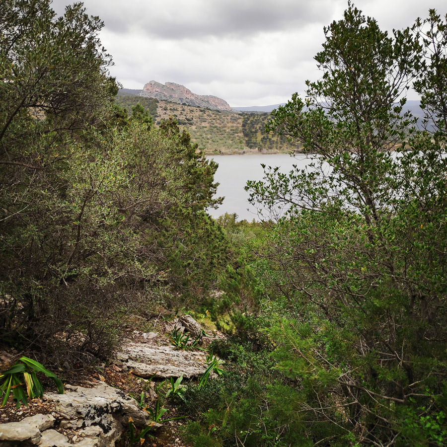 Climbing_Thermisia_Lagoon_Lizard_Route_171744_561