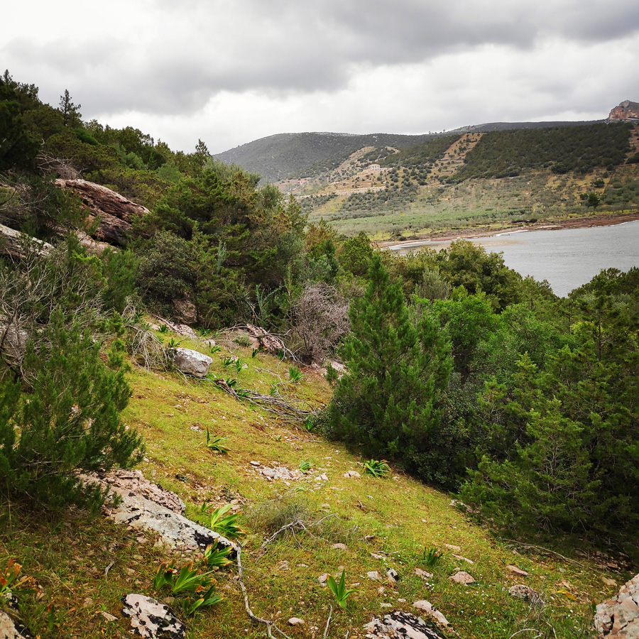 Climbing_Thermisia_Lagoon_Lizard_Route_172045_790