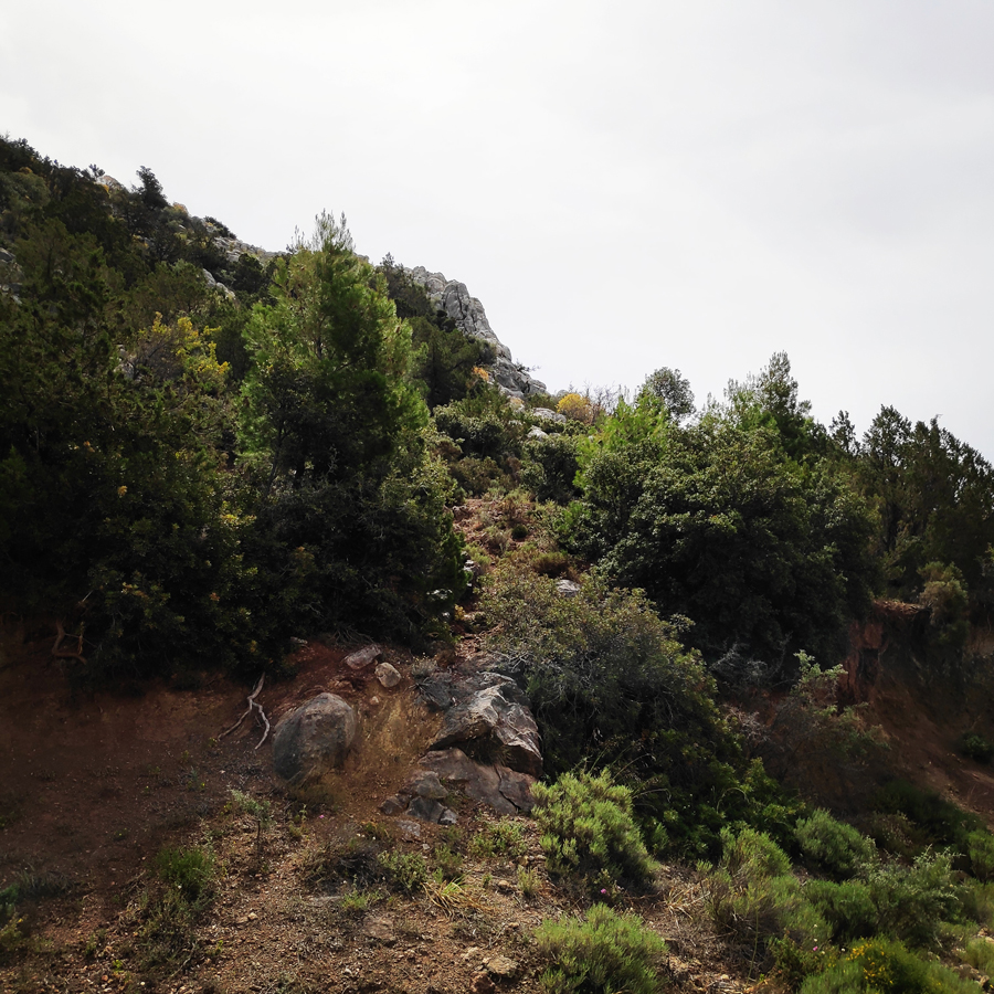 Climbing_Ermioni_Souzaki_Mouzaki_route_193620_023