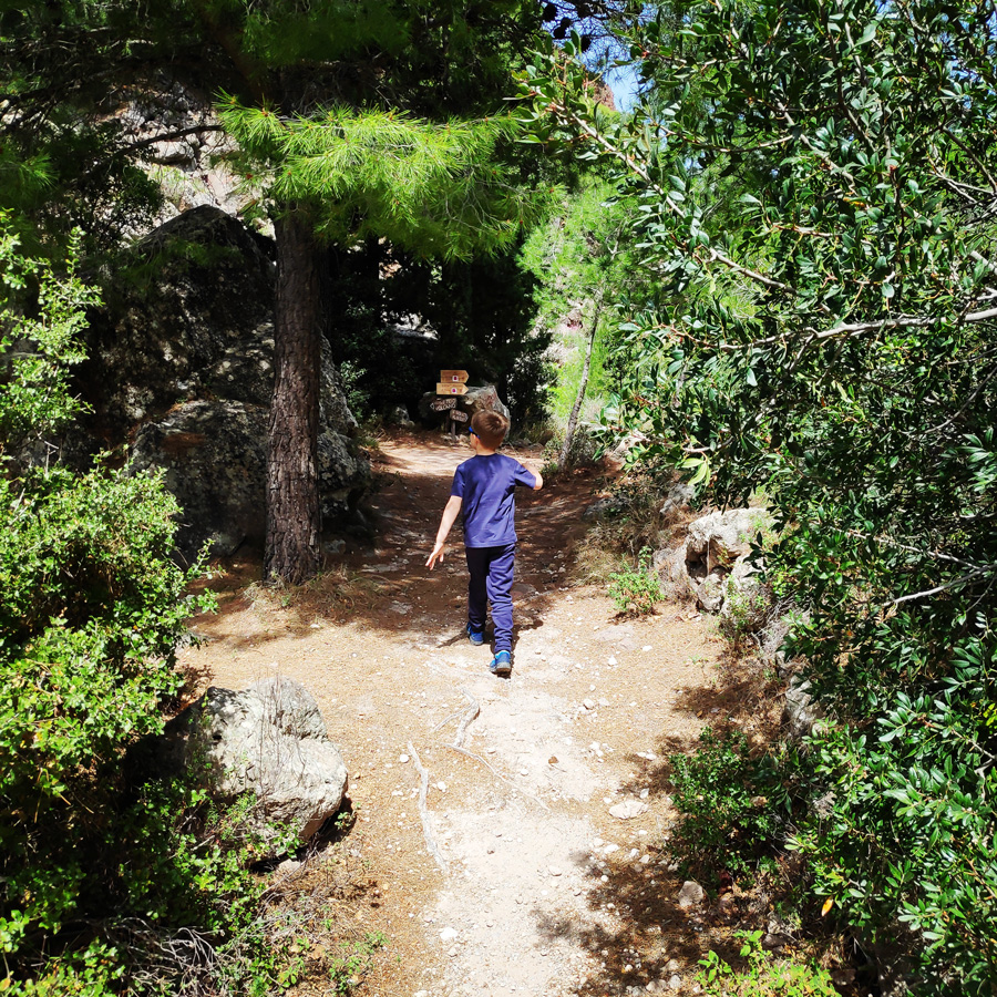 Hiking_Methana_Volcano_145903_241