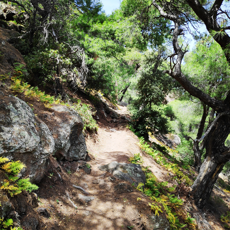 Hiking_Methana_Volcano_150147_788