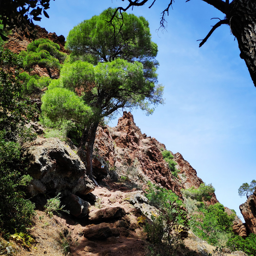 Hiking_Methana_Volcano_150245_346