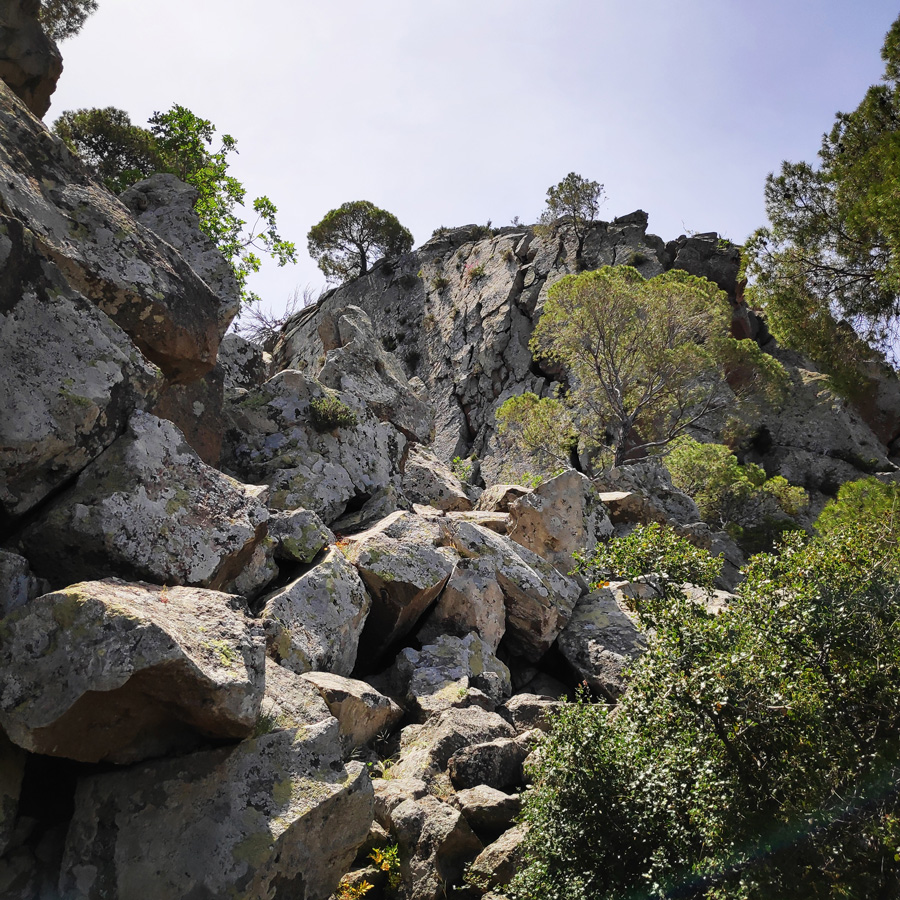 Hiking_Methana_Volcano_150652_194