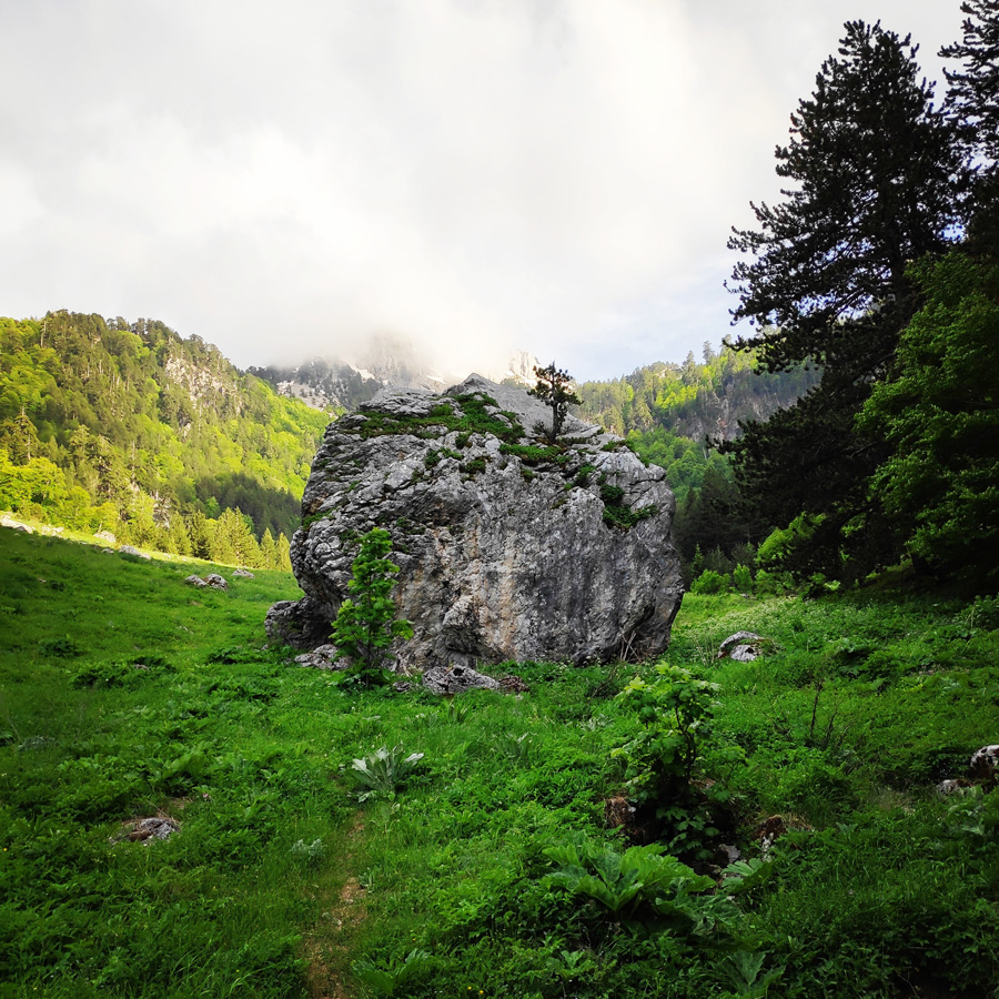 Mount_Tymfi_Pindos_North_Side_Thru-Hike_Part1_Konitsa_Moni_Stomiou_Sadi_Mygas_161529_106